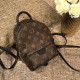  LOUIS VUITTON 루이비통 팜스프링 미니 백팩 M44873