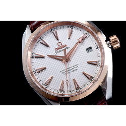 OMEGA 오메가 씨마스터 아쿠아테라 231.23.42.21.02.001