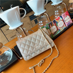 CHANEL 샤넬 WOC AS3991-2