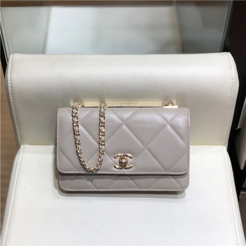 CHANEL 샤넬 WOC AS5005