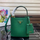 PRADA 프라다 미니 사피아노 1BA217