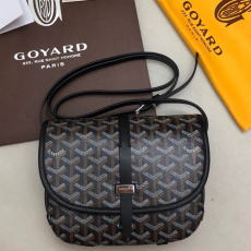 GOYARD 고야드 메신져백 22CM GY100980-5