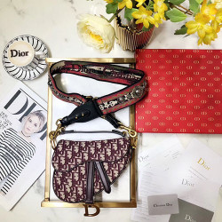 DIOR 디올 오블리크 새들 핸드&숄더 M0447 19.5CM
