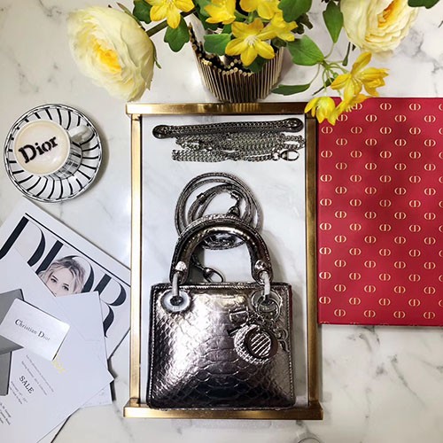 DIOR 디올 메탈릭 뱀가죽 미니 17CM