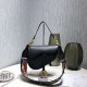 DIOR 디올 새들백 SADDLE M0446 25.5CM