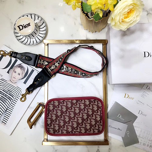 DIOR 디올 캔버스 카메라백 CAMERA BAG 22CM