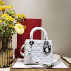 DIOR 디올 레이디백 20CM D38609-14