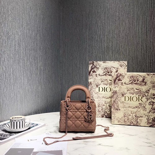 DIOR 디올 레이디 17CM D80891