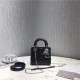 DIOR 디올 레이디백 미니 D3307-6