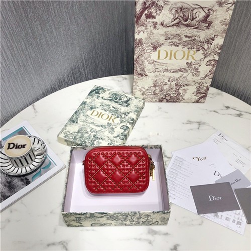DIOR 디올 레이디 카메라백