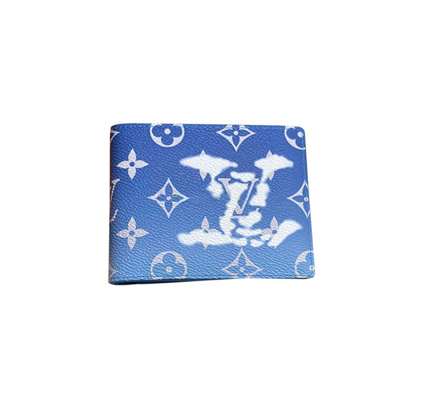 LOUIS VUITTON 루이비통 멀티플 반지갑 M48455