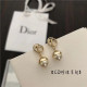 DIOR 디올 귀걸이 D9101 2020/신상 (정품과 비교가능한 퀄리티 )