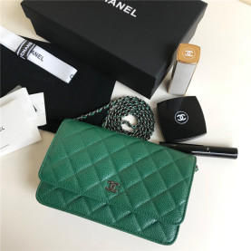 CHANEL 샤넬 WOC 19CM AS5890