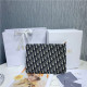 DIOR 디올 오블리크 클러치백 21CM D14088