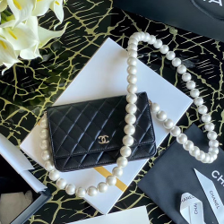 CHANEL 샤넬 WOC 진주백 19CM AS0250