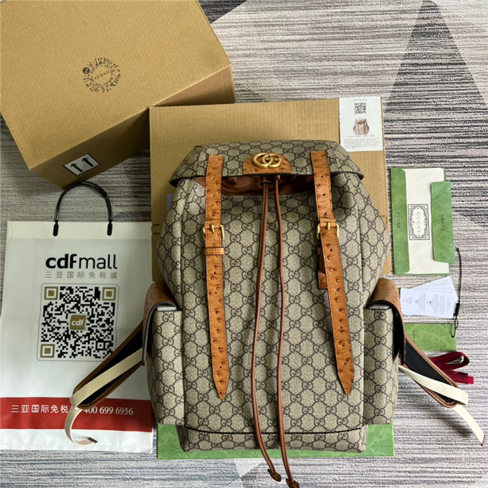 GUCCI 구찌 파이톤 백팩 710859