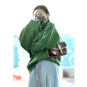  [마마무 화사] LOUIS VUITTON 루이비통 다이앤 모노그램 핸드백