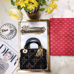 DIOR 디올 미니 레이디백 M1004