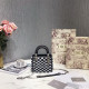 DIOR 디올 미니 레이디백 M1004 
