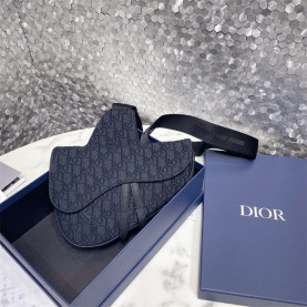 DIOR 디올 오블리크 새들백 M9001 2COLOR