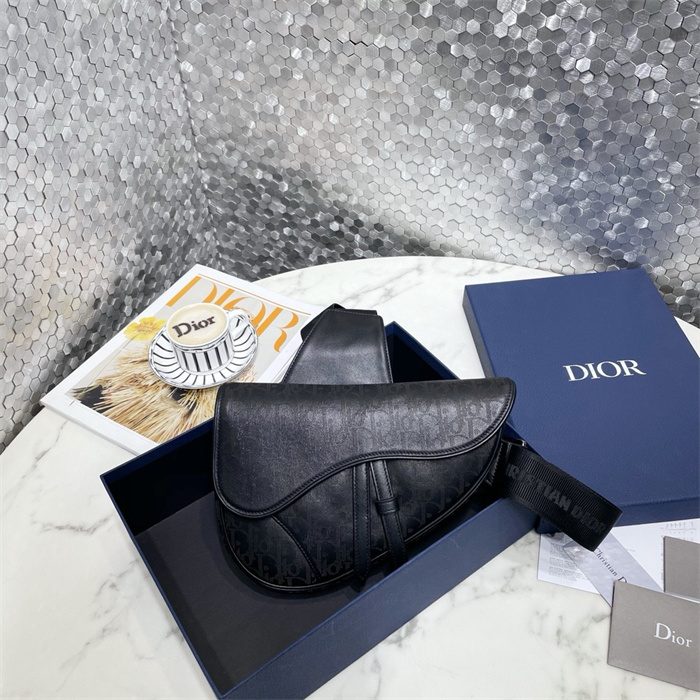 DIOR 디올 오블리크 갤럭시 새들백 M9813