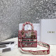 DIOR 디올 레이디 M0565