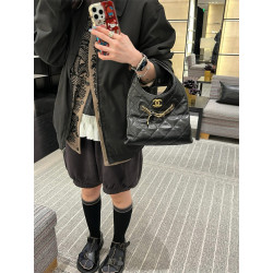 CHANEL 샤넬 호보백 AS5011
