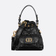 DIOR 디올 Caro 나노 버킷백 S5250 5COLOR