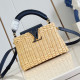 LOUIS VUITTON 루이비통 카푸신 미니 M48865