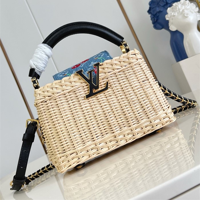 LOUIS VUITTON 루이비통 카푸신 미니 M48865 2SIZE