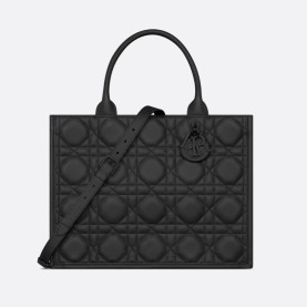 DIOR 디올 북 토트백 미듐 M1324
