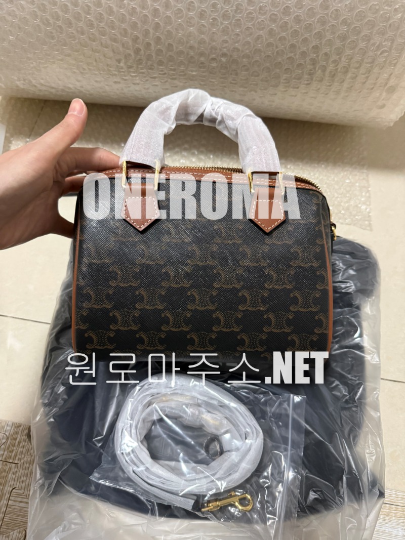 배*례 고객님 셀린느 스몰 보스턴 트리옹프 캔버스